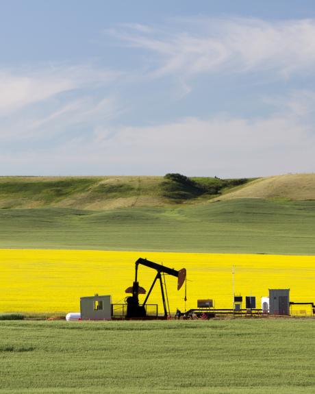 Oil Field - Pipe Rack